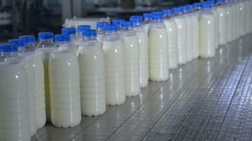 Kas iš tikrųjų daro pieno? Pasakoja, kaip atskirti netikras
