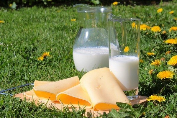 Vaikams geriausiai tinka tiek pienas, tiek sūris (Nuotrauka: Pixabay.com) 