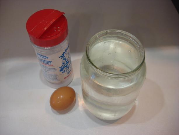 Nuotraukų autorius (druska, vandens indelis, kiaušinių, pereikite prie dešinės)
