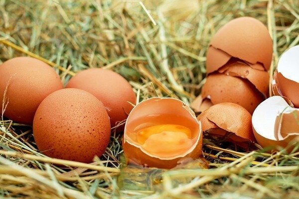 Kiaušinių negalima valgyti šviežių, nes tai kelia grėsmę parazitų atsiradimui organizme. (Nuotrauka: Pixabay.com)