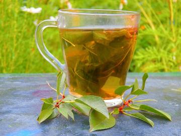 Vitaminas arbata iš vyšnių skatinti sveikatą lapų
