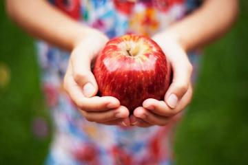 Gydyti obuoliai: inkstų akmenys, venų išsiplėtimas, širdies priepuolis, ir tt