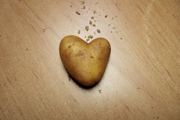 Bulvės padės sergant širdies ligomis (Nuotrauka: Pixabay.com)
