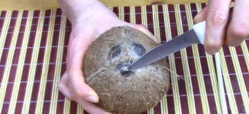 Kaip lengva namuose atidaryti kokosą. Ir kaip išsirinkti gerą kokosą.