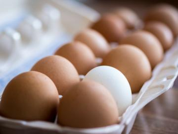 Kaip patikrinti: kiaušinis šviežias arba sugedęs?