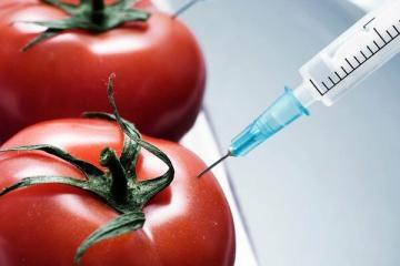 10 GMO maisto produktų, kuriuos valgome ir net nežinome